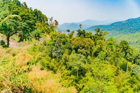 Mountain landscape. Photos