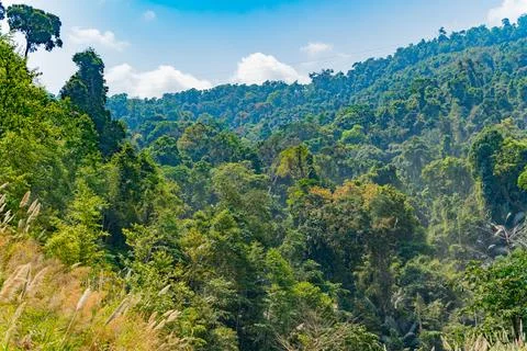 Mountain landscape. Foto stock