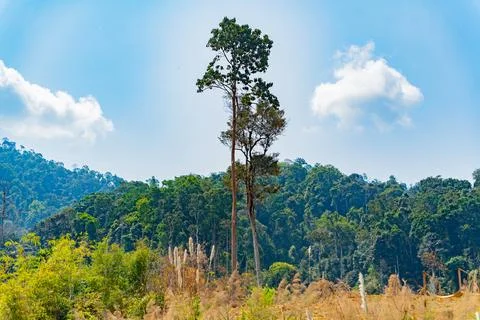 Mountain landscape. Foto stock