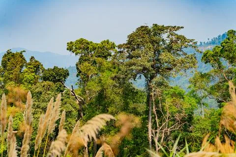 Mountain landscape. 스톡 사진