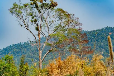 Mountain landscape. Stock Photos