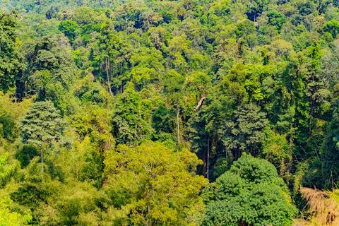 Mountain landscape. Foto stock