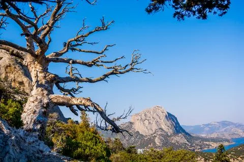 Mountain landscape Stock Photos