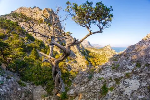 Mountain landscape Stock Photos