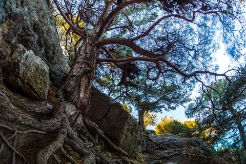 Mountain landscape Stock Photos