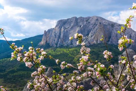 Mountain landscape Stock Photos
