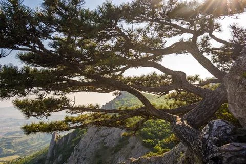 Mountain landscape Stock Photos