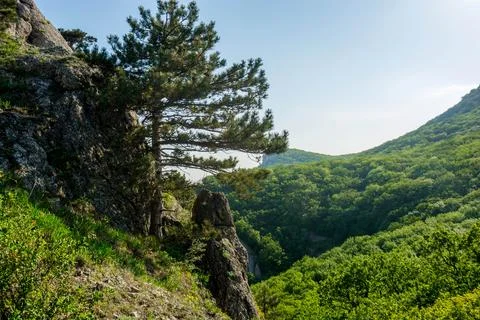 Mountain landscape Stock Photos
