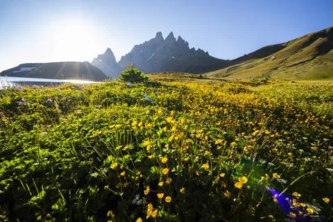 Mountain landscape Stock Photos