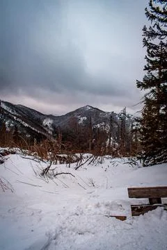 A mountain landscape 스톡 사진