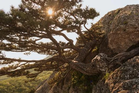 Mountain landscape Stock Photos