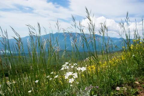 Mountain landscape Stock Photos
