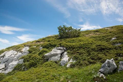 Mountain landscape Stock Photos
