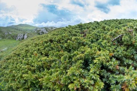 Mountain landscape Stock Photos
