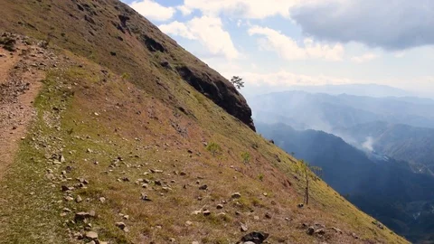 Mountain landscape with pine trees and and vast mountain at the distance Stock Footage 102251596