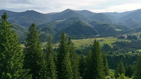 Mountain landscape with pine trees and village valley. Lush green hillside with Video stock 315509033