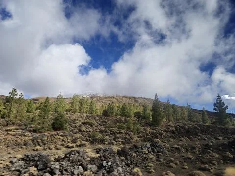 Mountain landscape with pine trees and dramatic clouds Stock Photos