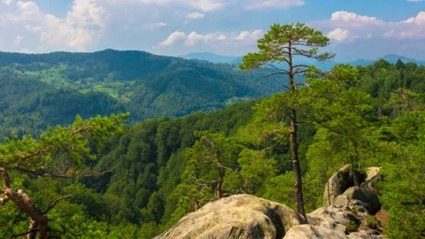 Mountain Landscape with Pine Trees Growing on Rock 库存影片 100248967