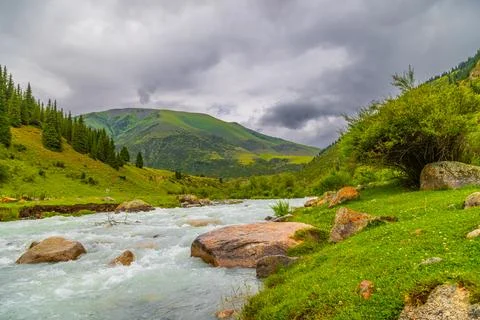 Mountain landscape with river and trees in Kyrgyzstan at rainy summer day Stockfoto's