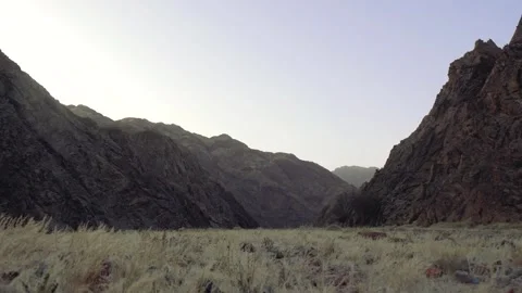 Mountain Landscape With Rocks and Poor Vegetation Stock Footage 243940427