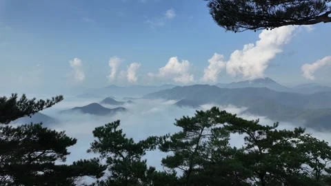 Mountain Landscape - Sea of Clouds Timelapse Видео 342343699