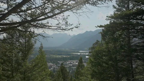 Mountain landscape seen from behind the trees Stock Footage 211878876
