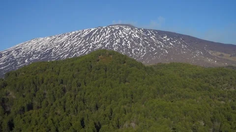 Mountain Landscape Sicily Forest Pine Trees Etna Mount Snow Covered Zoom In Vídeos de archivo 152254363