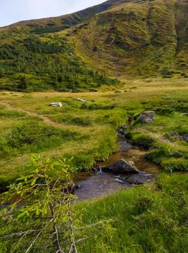Mountain landscape with a small river Stock Photos