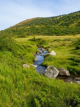 Mountain landscape with a small river Stock Photos
