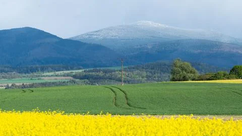 Mountain landscape in spring, sown fields of grain and rapeseed against the.. Stock Photos