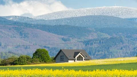 Mountain landscape in spring, sown fields of grain and rapeseed against the.. Photos