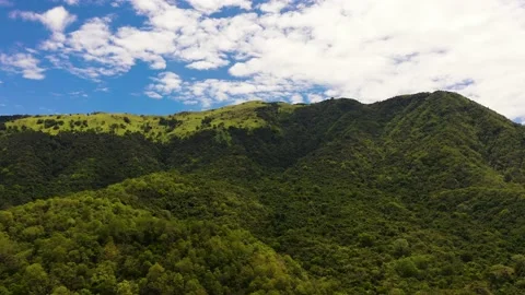 Mountain landscape in Sri Lanka. Stock Footage 176922017