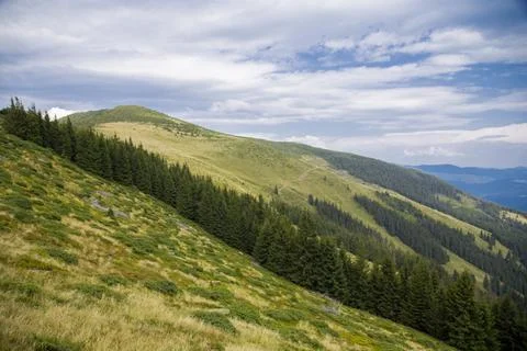Mountain landscape in the summer 3 Stock Photos