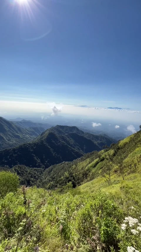 Mountain landscape in the summer Stock Footage 340126256