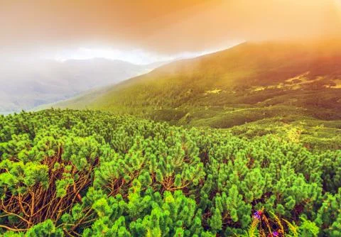 Mountain landscape in summer Fotos Stock