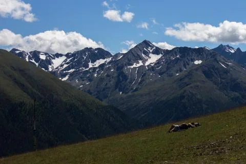 Mountain landscape in the summer Stock Photos