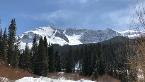Mountain Landscape Sun Snow Pine Tree Stock Footage 156940019