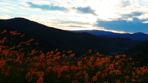 Mountain landscape. sunset. Stock Footage 12030518