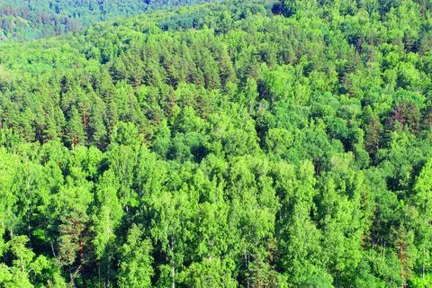 Mountain landscape through the foliage of trees. Breathtaking panoramic view Stock Photos