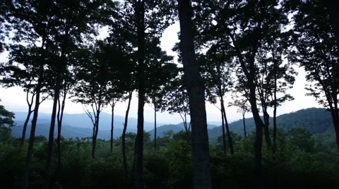 Mountain landscape through forest Video stock 51229343