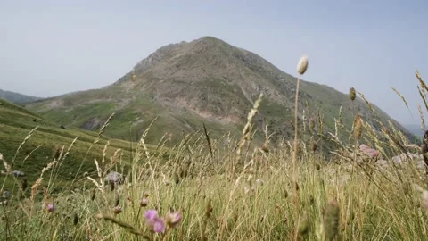 A mountain landscape through the grass Video stock 158861241