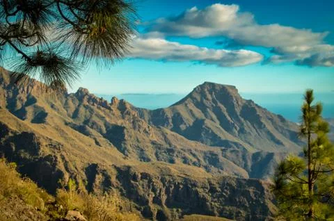 A mountain landscape through pine trees Stock Photos