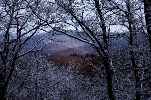Mountain landscape through the tree's branches, Romania Stock Photos