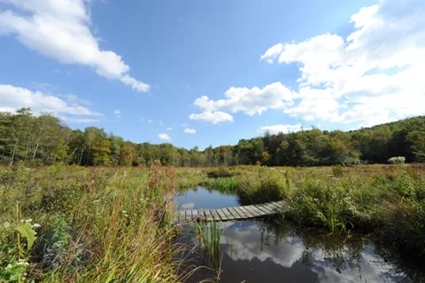 Mountain Landscape - TimeLapse - 4k 스톡 동영상 37431040