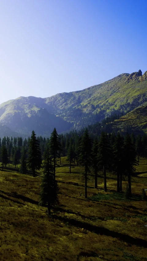 Mountain landscape with trees and clear sky in afternoon light 库存影片 334197227