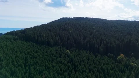 Mountain landscape with trees and clouds Stock Footage 302885204