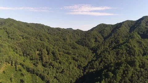 Mountain landscape with trees and clouds Video stock 310930613