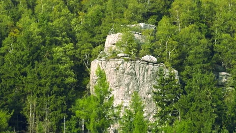 Mountain landscape with trees and rocks. Zoom in. ProRes 422 HQ. 库存影片 247716153