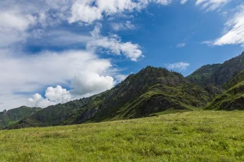 Mountain landscape in the valley of the confluence of the Katun and Maly Yalo Stock Photos