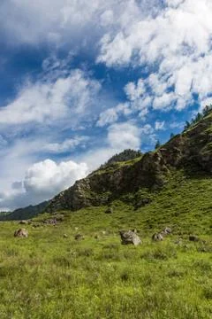 Mountain landscape in the valley of the confluence of the Katun and Maly Yalo Stock Photos